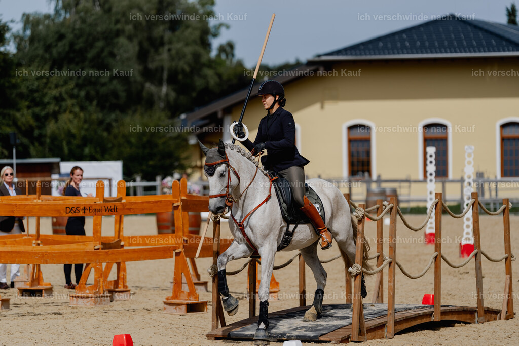 Svea13FHC2025-2850 | working equitationturnier fotograf videograf stoibphotography marixx film working equitation deutschland reitsport turnierfotografie eventfotografie equestrian events