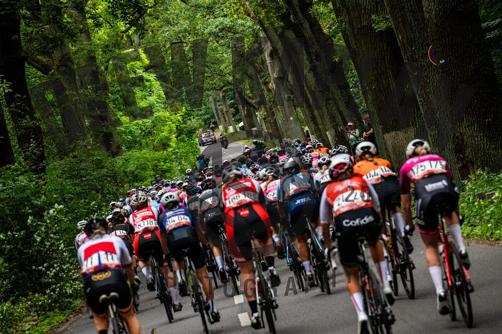 _DKP8059 | Drew Kaplan Photography