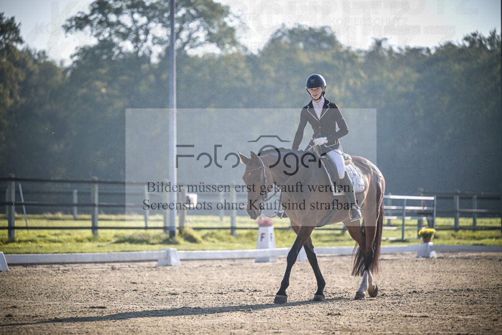 DOS_0331 | Entdecke hochwertige Reitturnierfotos von Foto Oger. Professionell, emotional und authentisch – jetzt Lieblingsmomente im Shop bestellen.Deutschlandweite Turnierfotografie. - Realisiert mit Pictrs.com