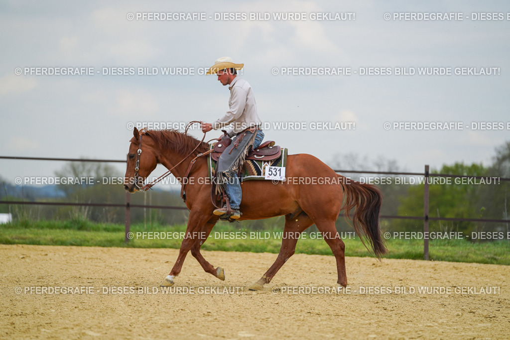 DSC07140 | Pferdegrafie