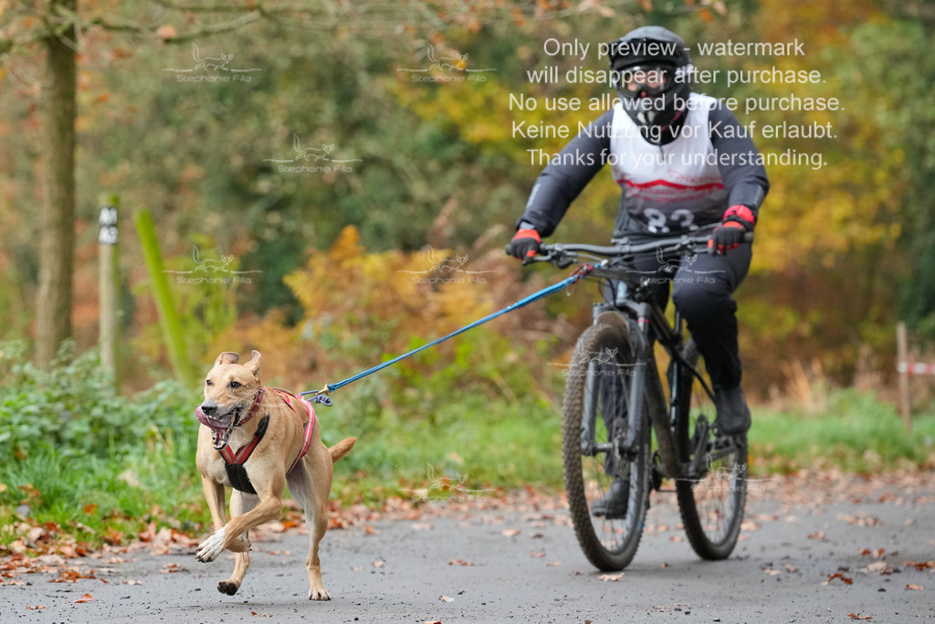 AusschnitteSo-53 | stephaniefillaphotographie - Realisiert mit Pictrs.com