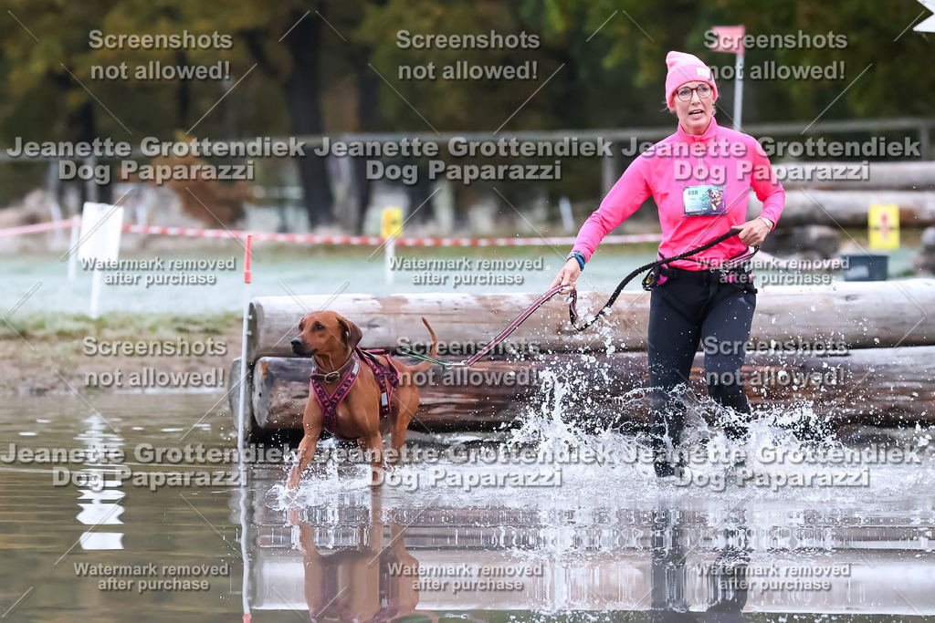 Dog Paparazzi - Strongdog 10-25-6064 | Dog Paparazzi Jeanette Grottendiek Fotografie & Videografie - Realisiert mit Pictrs.com