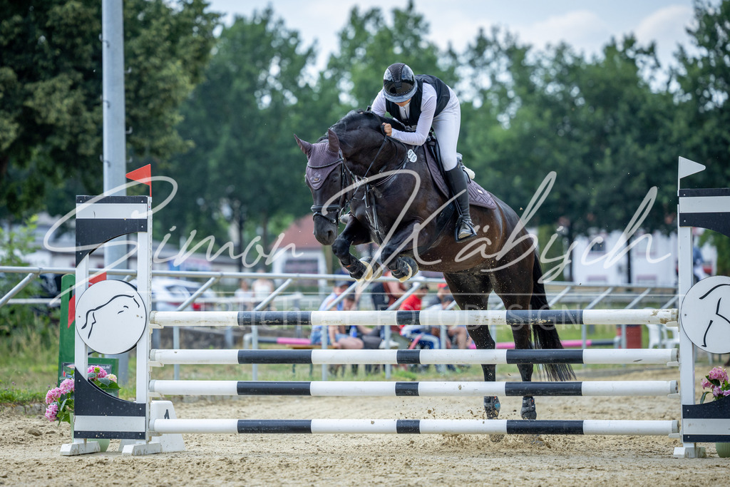 20260704-_3LI1651 | Tierfotografie Pferde, Hunde, Katzen, Haustiere.
Turnierfotografie Reitturniere, Reiten, Springreiten, Dressur in Hanau, dem Main-Kinzig-Kreis und dem Rhein-Main- Gebiet um Frankfurt