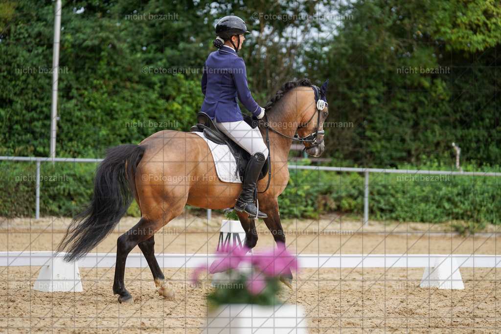 20240825-FAH00073 | Turnierbilder, Reitsportfotos, LAPO, Landesponyturnier, Turnierfotografen Bayern