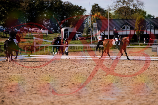 2026_10_03_Siefer-Hof_131928_Z81_68659006 | Professionelle Reitsport-, Turnier- und Eventfotografie von Robert Broda. Galerien mit ausgewählten und bearbeiteten Bildern direkt online ansehen und bestellen.