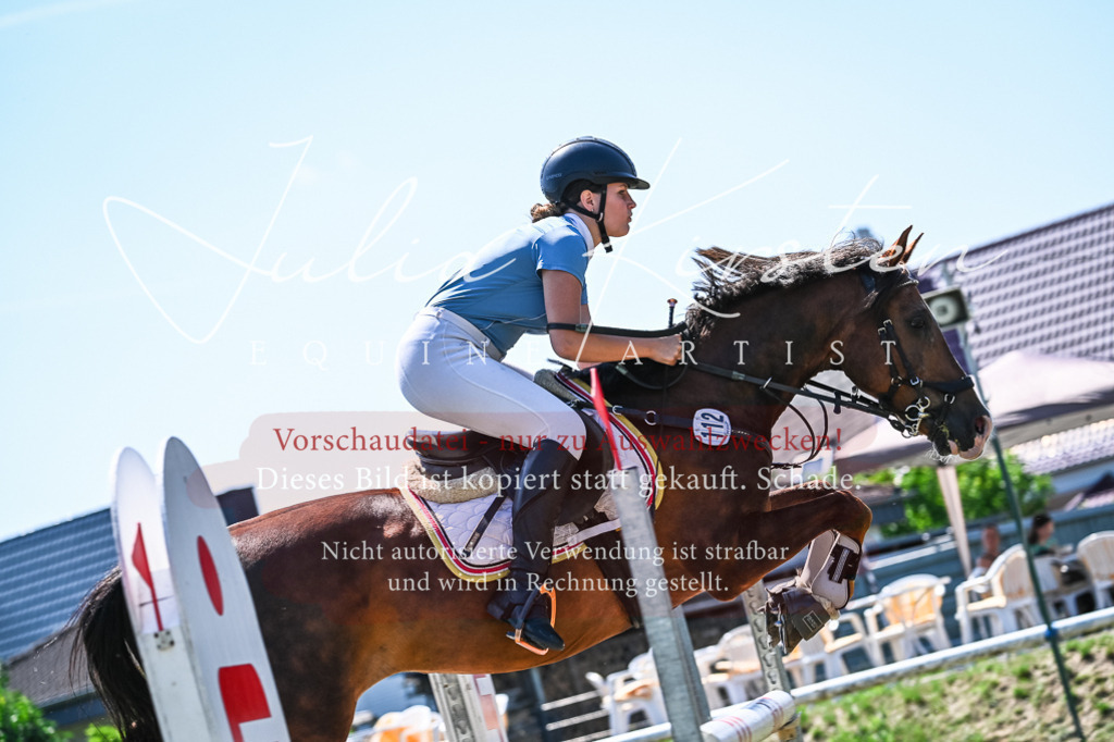 DSC_0948 | Pferde- und Turnierfotografie in Westsachsen. Pferdeportraits, Auftragszeichnungen und intuitive Kunst.