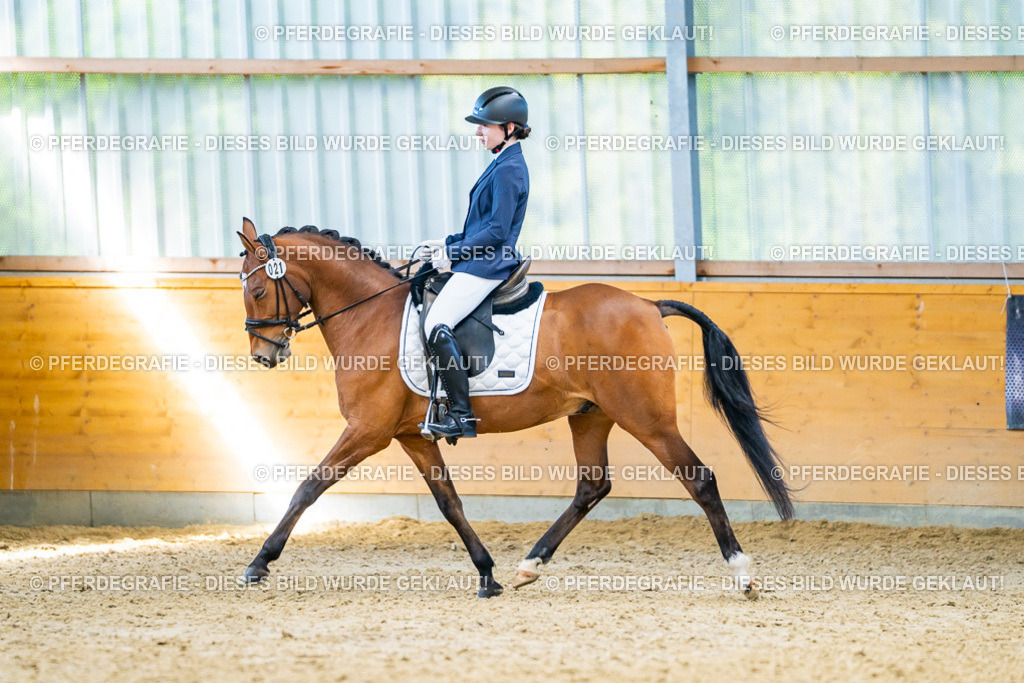 DSC07958 | Pferdegrafie