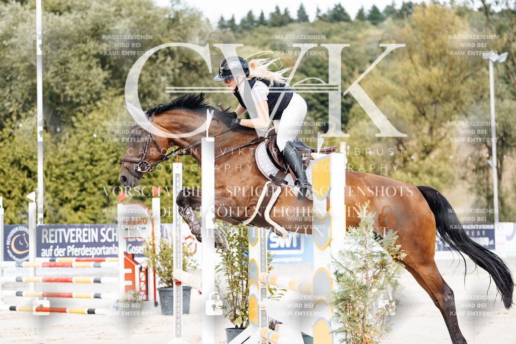 CK908958 | Turnierfotografie Pferdefotografie Trier Rheinland-Pfalz Pferdesport Reitsport Tierfotografie Sportfotografie Pferdevideo Pferdevideografie Equestrianvideography equestrianphotography  - Realisiert mit Pictrs.com