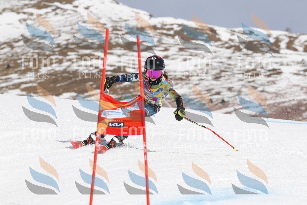 _U3G1745 | holidayphoto