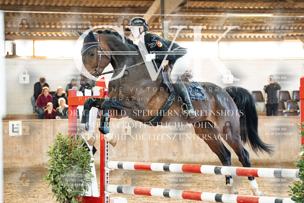 CK904576 | Turnierfotografie Pferdefotografie Trier Rheinland-Pfalz Pferdesport Reitsport Tierfotografie Sportfotografie Pferdevideo Pferdevideografie Equestrianvideography equestrianphotography  - Realized with Pictrs.com