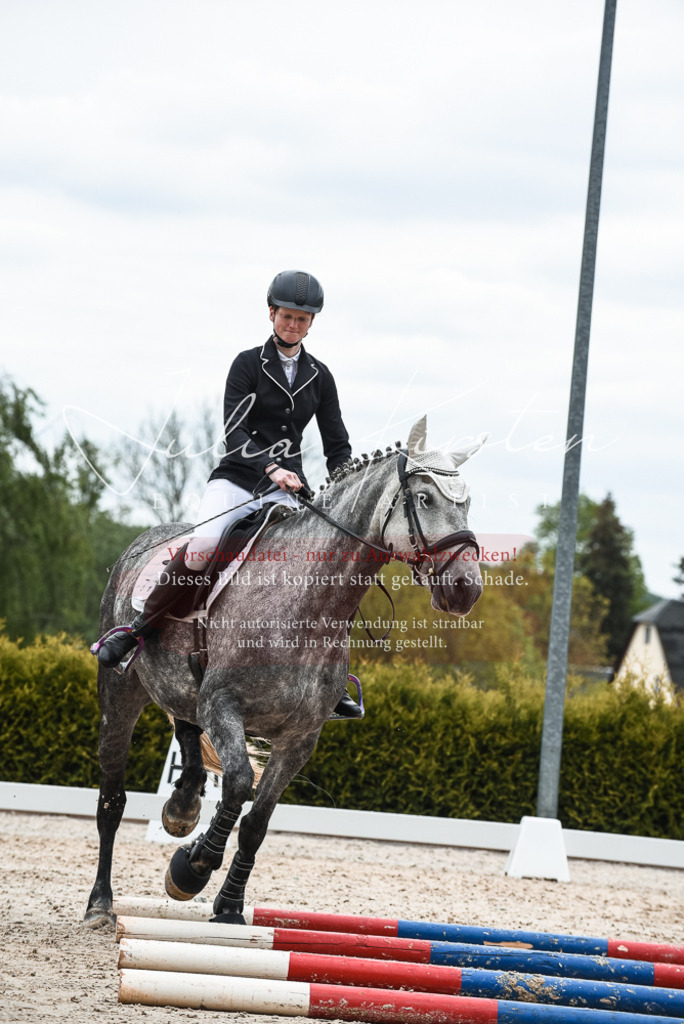 20230518_JK-Röhrsdorf-10-400 | Pferde- und Turnierfotografie in Westsachsen. Pferdeportraits, Auftragszeichnungen und intuitive Kunst.