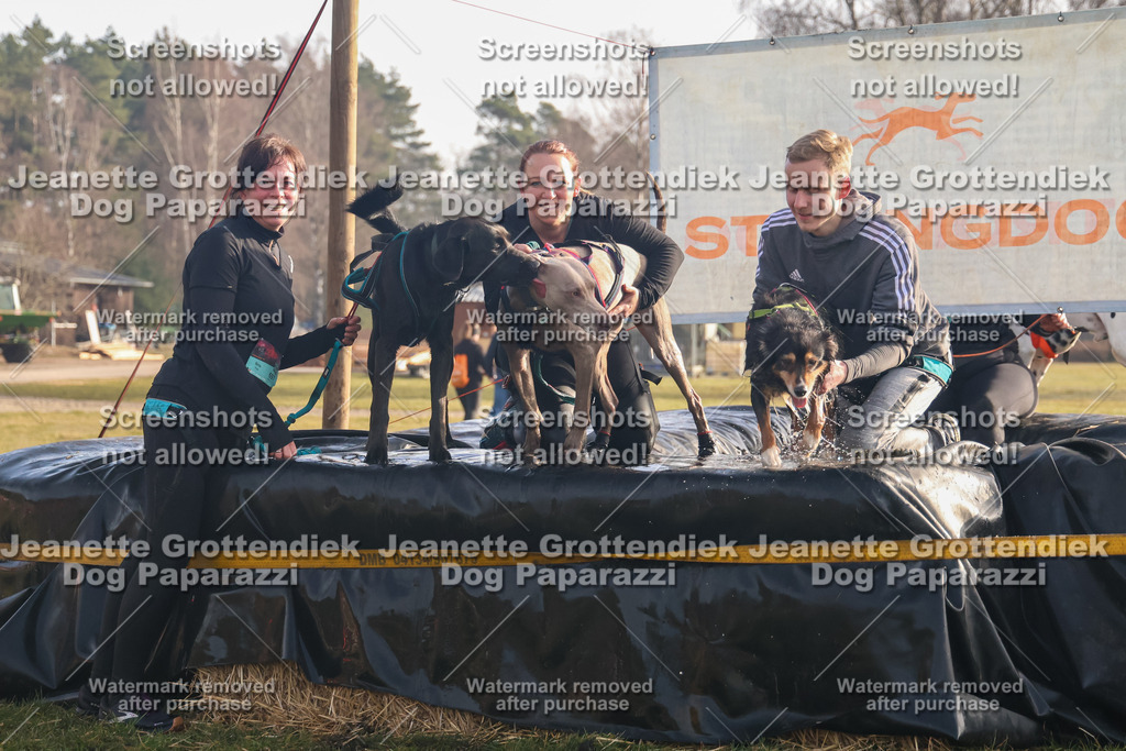 Dog Paparazzi - SD North 0326 900930-243 | Dog Paparazzi Jeanette Grottendiek Fotografie & Videografie - Realisiert mit Pictrs.com
