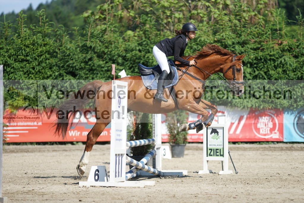 DSC06183 | equestrian-live-com