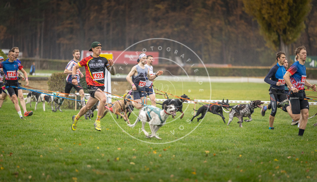 CaniXpix_DV3A9472 | Hundefotografie, Tierfotograf, Pfotenfotografie, Fotoshooting Hund, Hunde Portrait, Hundesport, Hundeportraits, Heideshooting, Hunde, Sportfotograf, Hundefotograf, Turnierhundsport, THS,  - Realisiert mit Pictrs.com