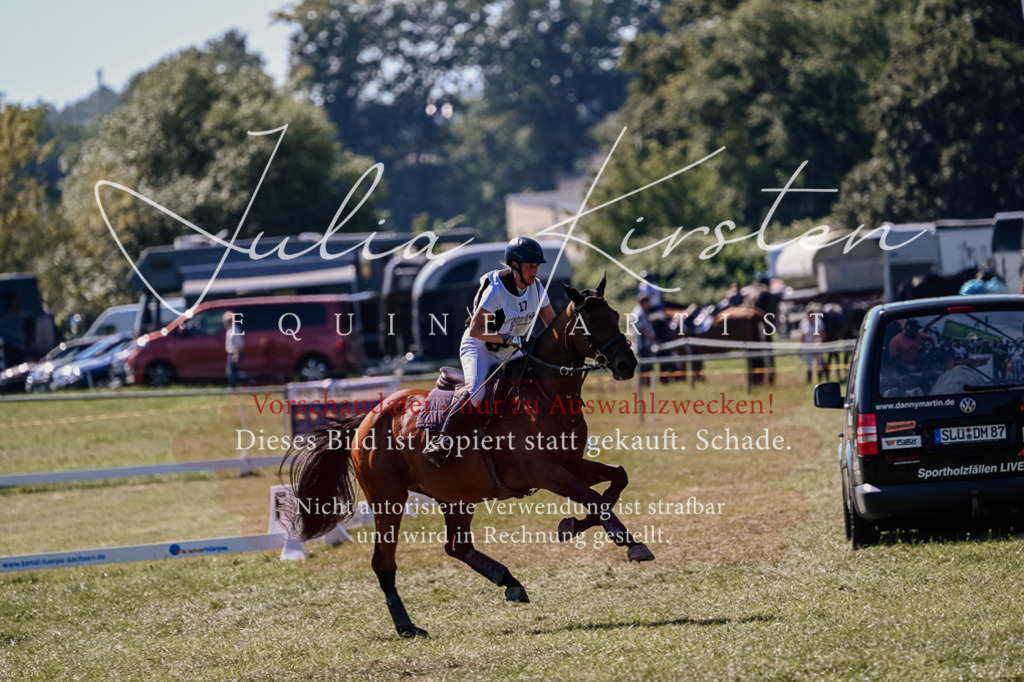 DSC_1990 | Pferde- und Turnierfotografie in Westsachsen. Pferdeportraits, Auftragszeichnungen und intuitive Kunst.