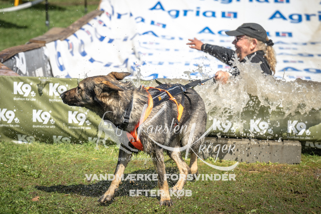 1349_ZZ91432 | kk-dogfotos