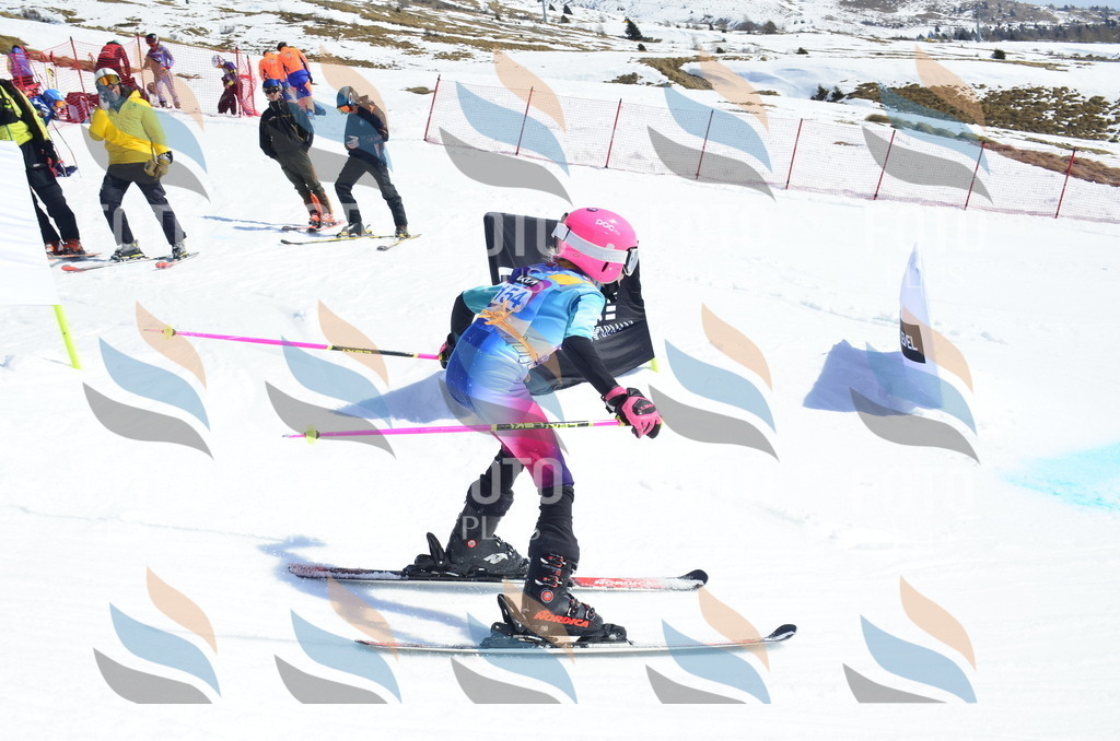 _ELE1033 | holidayphoto