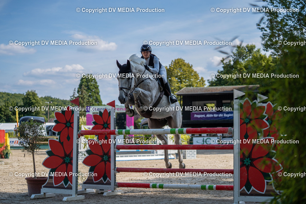 Hessische Tag 1-1603 | dv-media-shop - Realisiert mit Pictrs.com