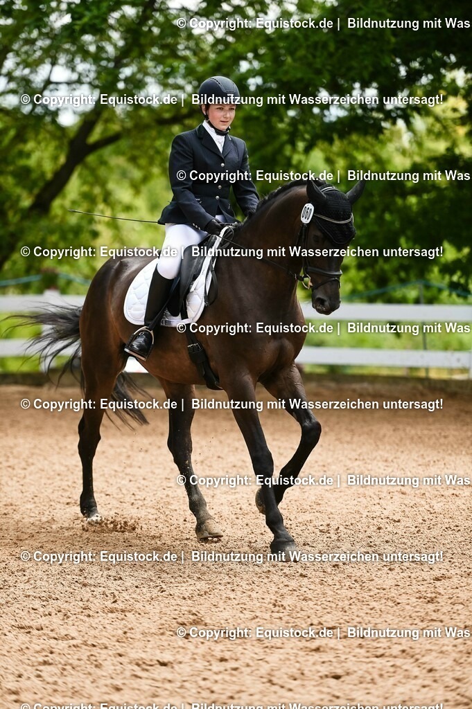 20230716_03_Dressurprfg. Kl.L - Tr._0356 | equistock