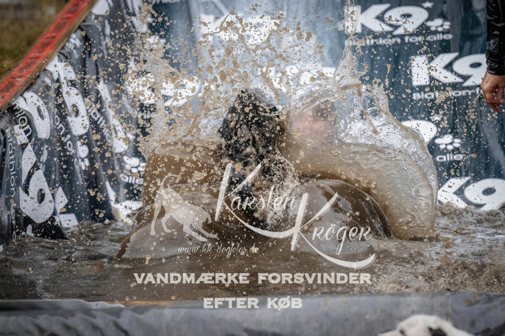 1233_ZZ90162 | kk-dogfotos