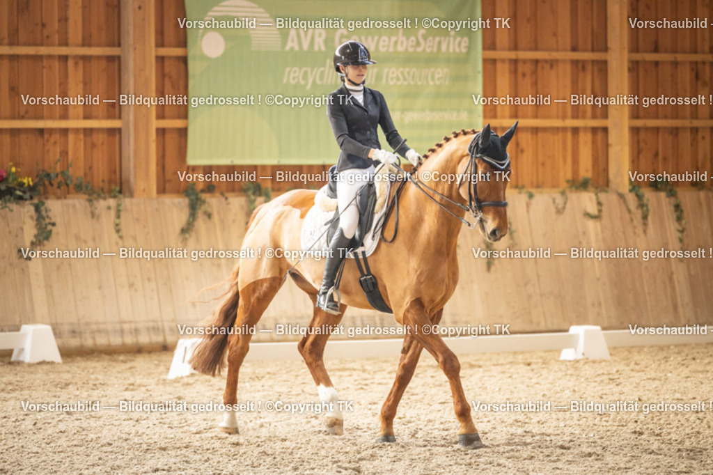 _D5A9570 | Emotionale Pferde- & People-Fotografie rund um Heidelberg, Leimen & Umgebung. Natürliche Fotos von Pferd, Mensch & Familie. Jetzt Termin sichern!