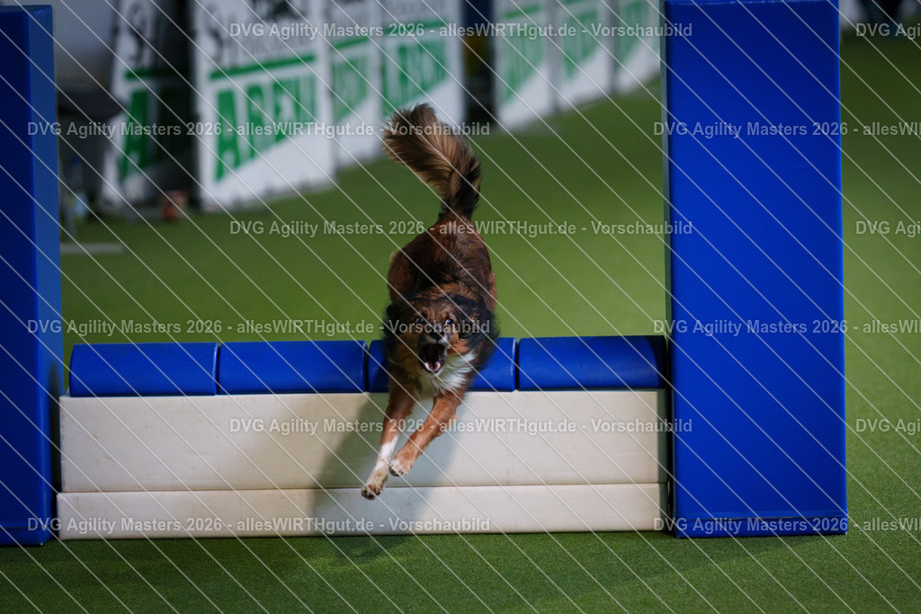 allesWIRTHgut_Tierfotografie-DVG_Agility_Masters_2026-11_27-7R506109 | Professionelle Tierfotografie in Mönchengladbach von Daniel Wirth (allesWIRTHgut). Liebevolle & natürliche Bilder von Hunden & Katzen für unvergessliche Erinnerungen.