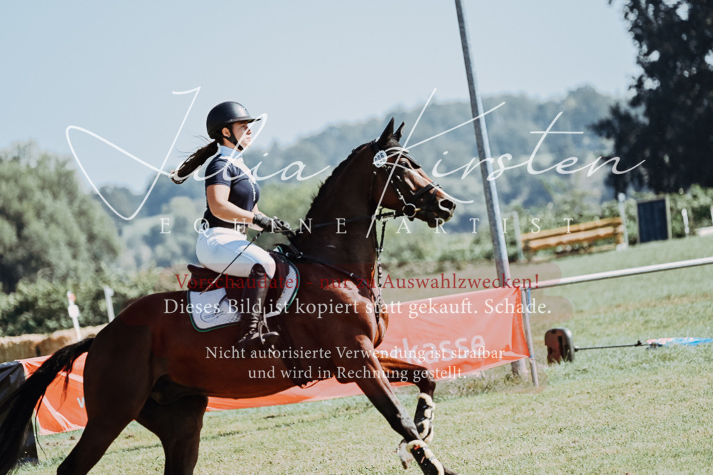 DSC_5718 | Pferde- und Turnierfotografie in Westsachsen. Pferdeportraits, Auftragszeichnungen und intuitive Kunst.