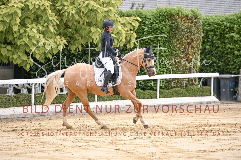 Schugtsche-Aluta25-42.EDressur -55 | Schugtsche Fotografie - Realisiert mit Pictrs.com