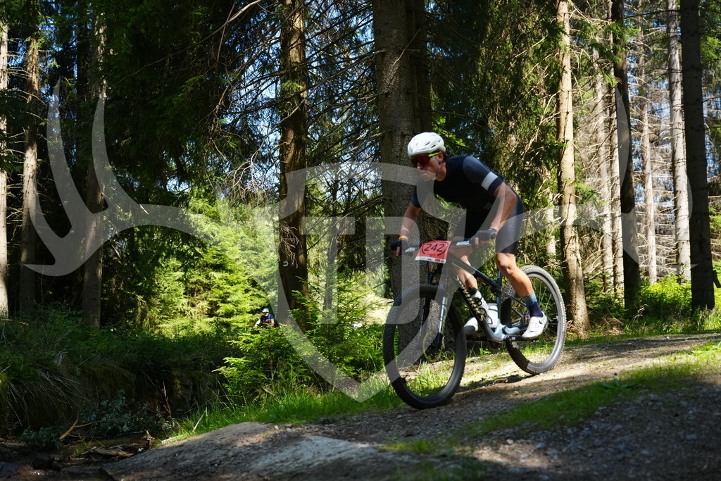 FC101696 | Fotogalerie der Treibjagd im Dunkelwald - Dein MTB Etappenrennen im Erzgebirge - Realisiert mit Pictrs.com