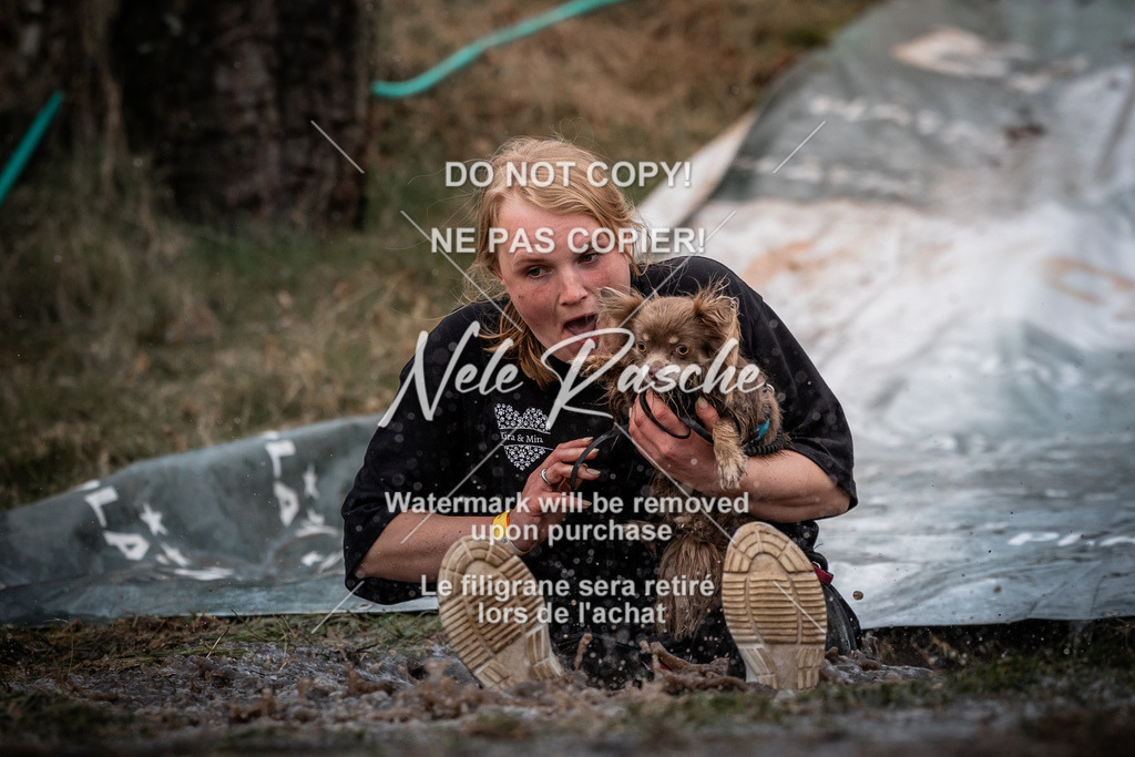 nelerasche_1300-1330_208 | nelerasche