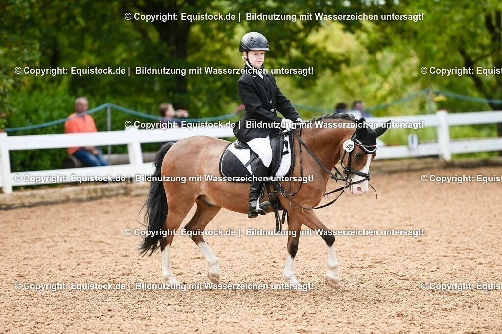 20230716_10-2_Reiter-WB Schritt - Trab - Galopp_0130 | equistock