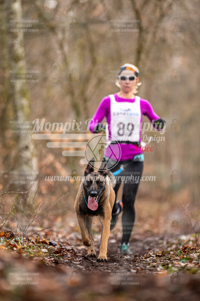 Reiat2023_SON_CaniXRun_8km_W-8 | PayLife