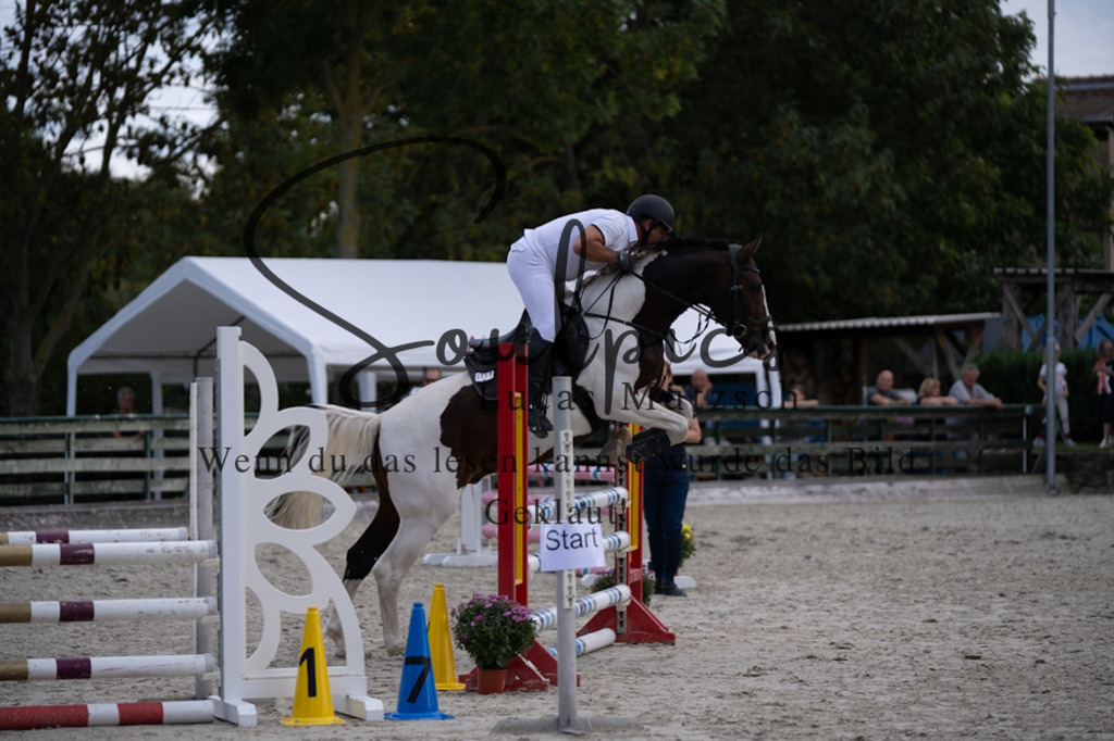 A7V07700 | Pferdefotograf