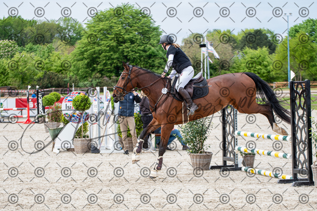 KPT_7011 | andre_photographic