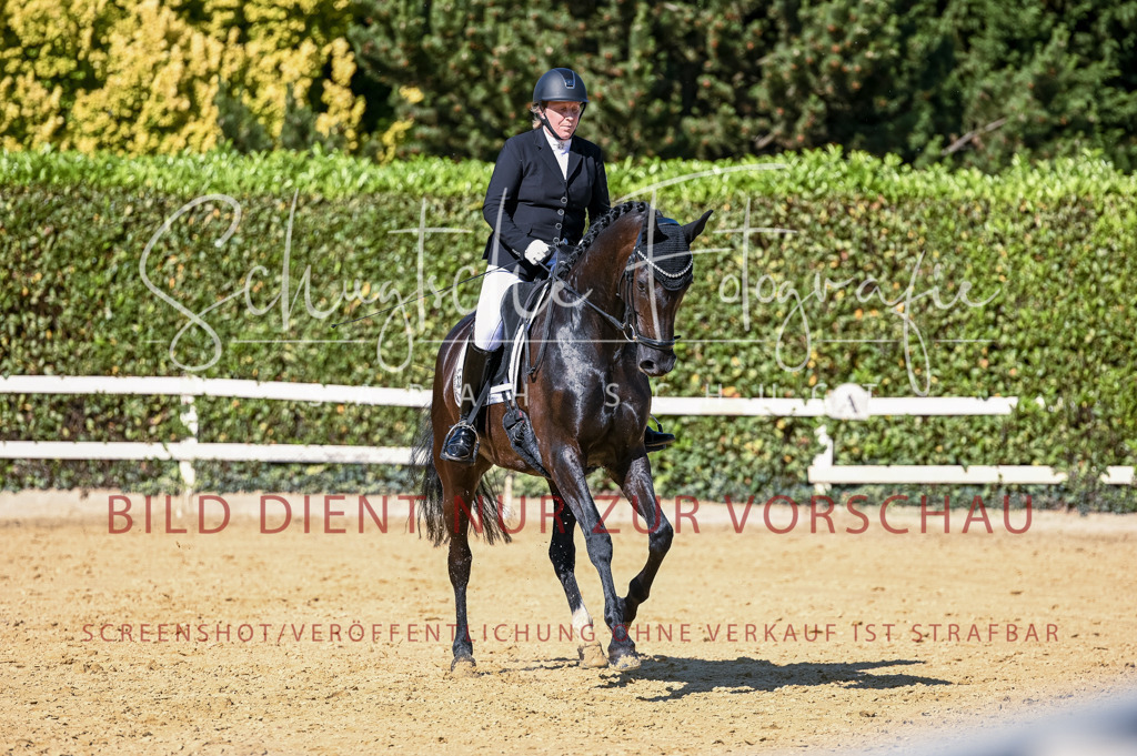 Schugtsche-Aluta25-50.Dressurpferdeprf.L-203 | Schugtsche Fotografie - Realisiert mit Pictrs.com