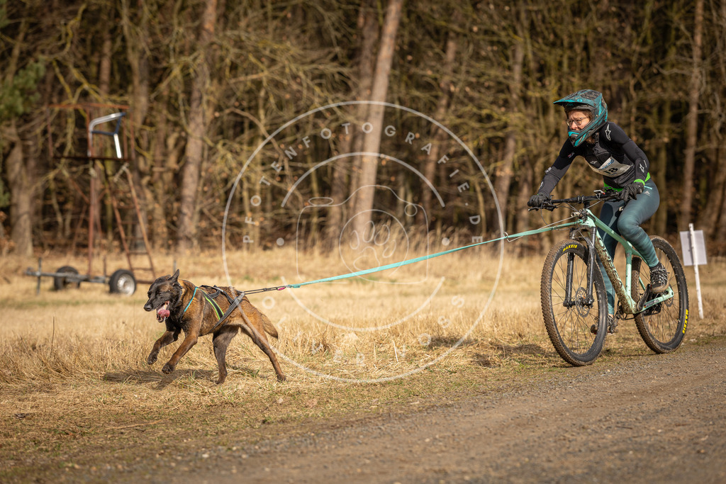 DV3A4502 | Hundefotografie, Tierfotograf, Pfotenfotografie, Fotoshooting Hund, Hunde Portrait, Hundesport, Hundeportraits, Heideshooting, Hunde, Sportfotograf, Hundefotograf, Turnierhundsport, THS,  - Realisiert mit Pictrs.com