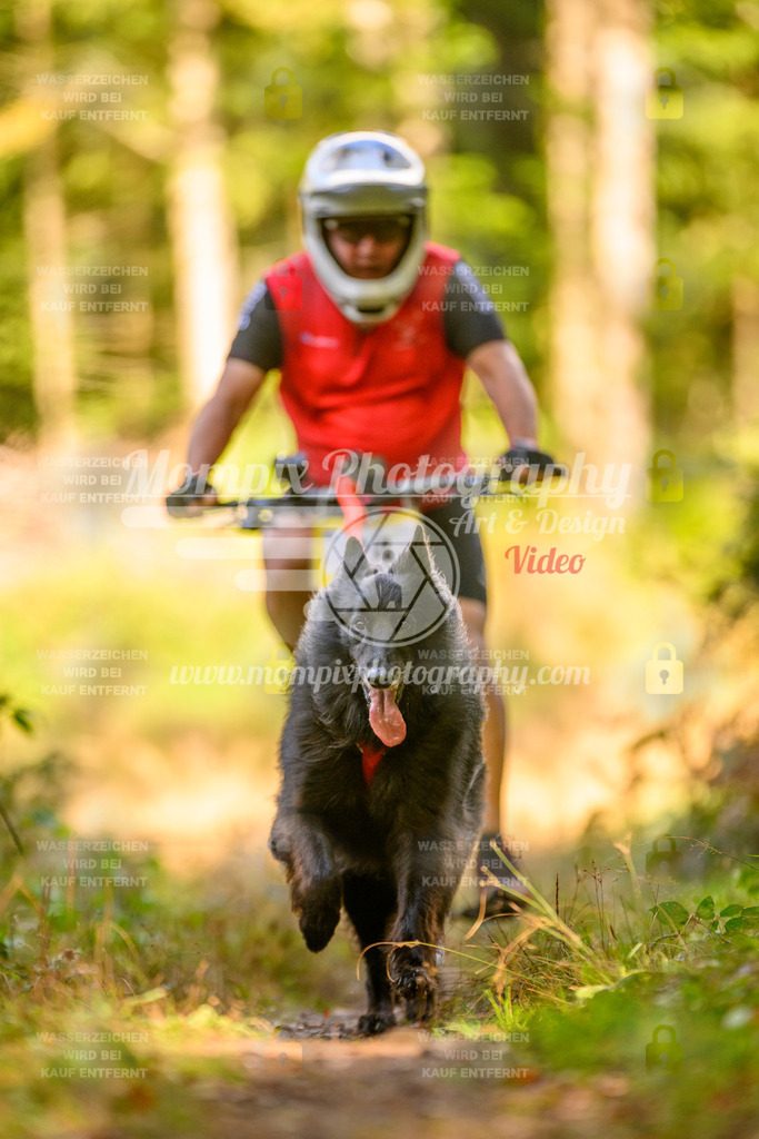 MompixPhotography_Yens2025_B1-89 | PayLife
