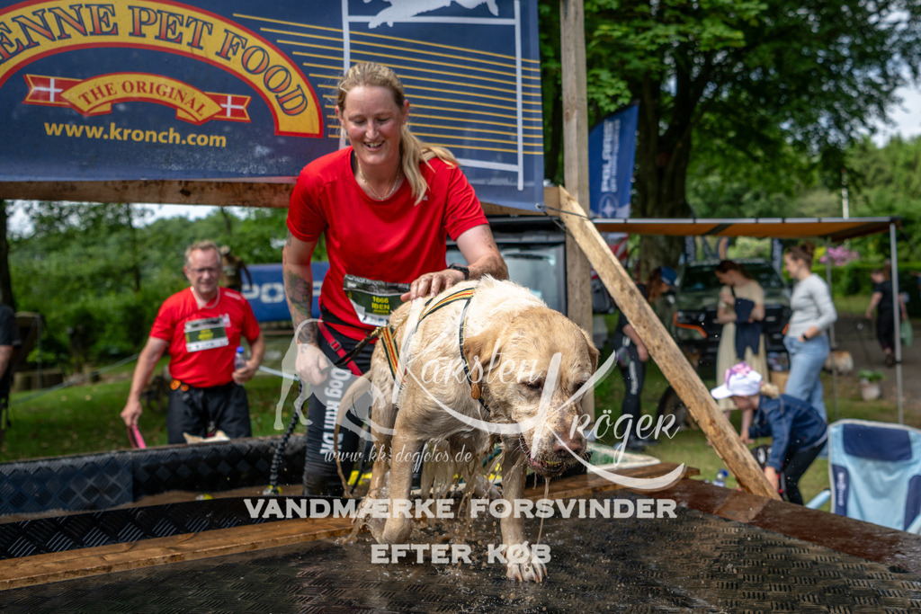 1113_ZZ93113 | kk-dogfotos