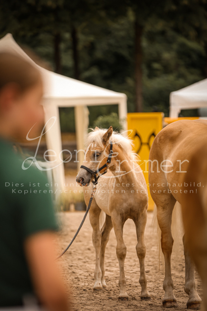 06.So00114 | Leoni Ertmer Photography - Realisiert mit Pictrs.com