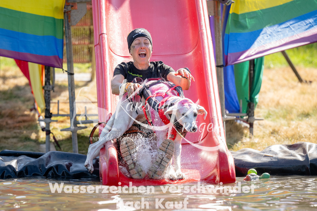 1451_ZZ91668 | kk-dogfotos