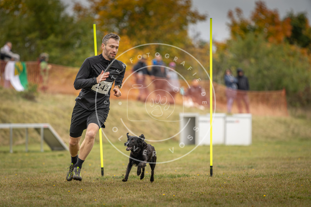 Pfotenfotografie_DV3A5522 | Hundefotografie, Tierfotograf, Pfotenfotografie, Fotoshooting Hund, Hunde Portrait, Hundesport, Hundeportraits, Heideshooting, Hunde, Sportfotograf, Hundefotograf, Turnierhundsport, THS,  - Realisiert mit Pictrs.com