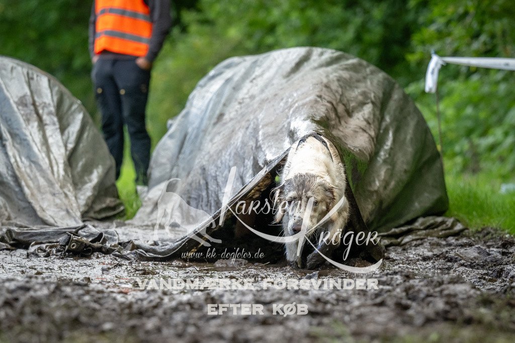 1152_ZZ90010 | kk-dogfotos