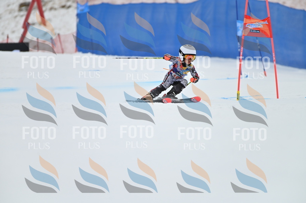 BGV_9824 | holidayphoto