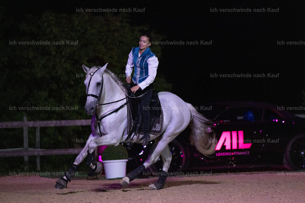Gala-630 | working equitationturnier fotograf videograf stoibphotography marixx film working equitation deutschland reitsport turnierfotografie eventfotografie equestrian events