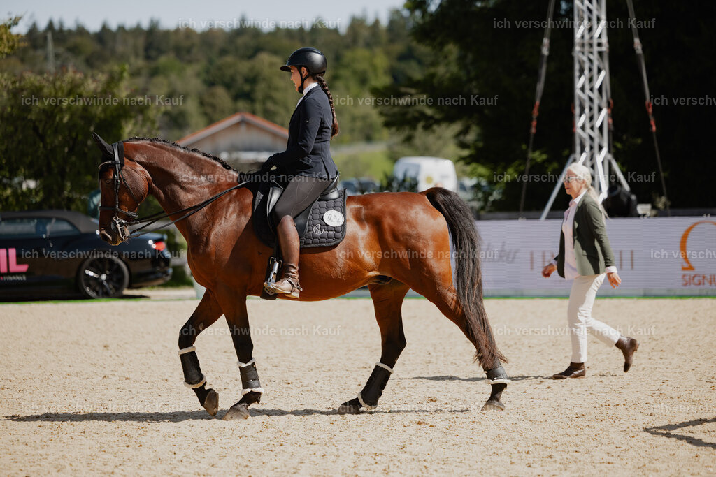 Nadine22_FHC2025-50 | working equitationturnier fotograf videograf stoibphotography marixx film working equitation deutschland reitsport turnierfotografie eventfotografie equestrian events