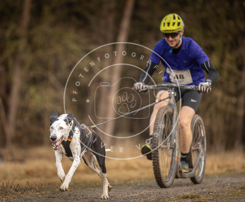 DV3A3417 | Hundefotografie, Tierfotograf, Pfotenfotografie, Fotoshooting Hund, Hunde Portrait, Hundesport, Hundeportraits, Heideshooting, Hunde, Sportfotograf, Hundefotograf, Turnierhundsport, THS,  - Realisiert mit Pictrs.com