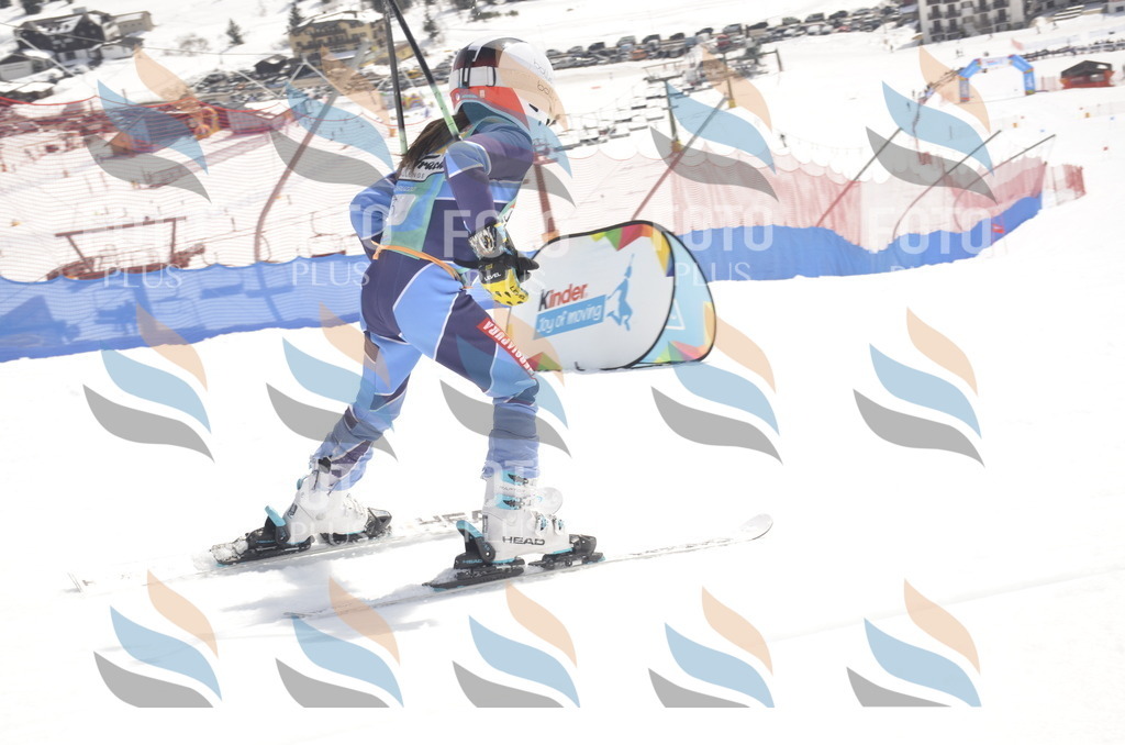 _ELE8485 | holidayphoto