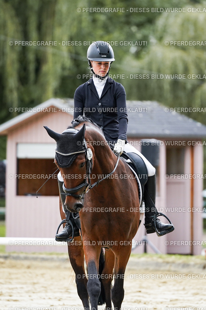 DSC06200 | Pferdegrafie