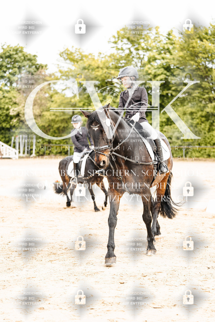 CK904286 | Turnierfotografie Pferdefotografie Trier Rheinland-Pfalz Pferdesport Reitsport Tierfotografie Sportfotografie Pferdevideo Pferdevideografie Equestrianvideography equestrianphotography  - Realisiert mit Pictrs.com