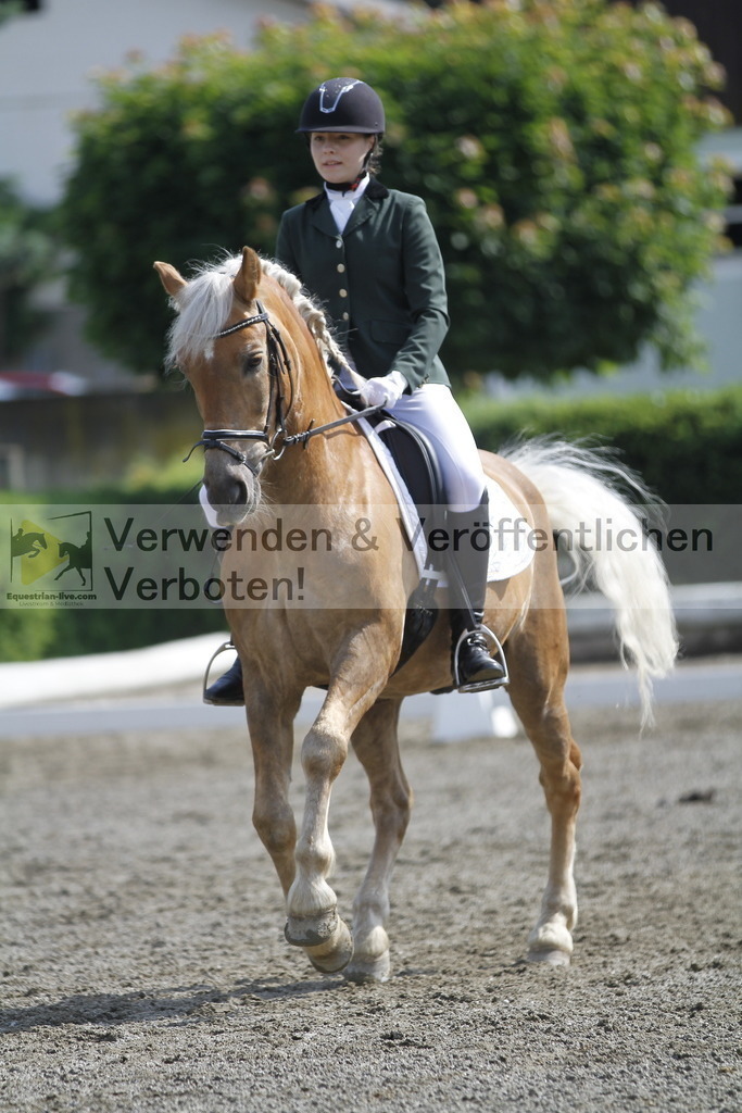 _MG_9566 | equestrian-live-com